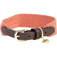 Kentucky Dogwear - Jacquard Hondenhalsband - Terracotta - Maat L - 62cm - Hondenriem