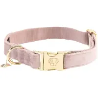 Kentucky Dogwear - Velvet Hondenhalsband - Stijlvol ontwerp - zachte Roos - Maat M 36-52 cm - Hondenriem