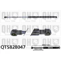 Quinton Hazell QTS828047 Gasveer achterklep