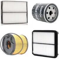 RIDEX 4055F25319 Filterset