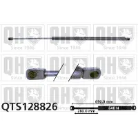 Quinton Hazell QTS128826 Gasveer achterklep