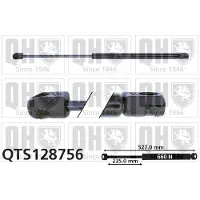 Quinton Hazell QTS128756 Gasveer achterklep