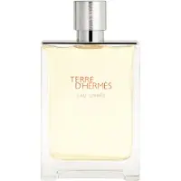 Hermès Paris Terre d'Eau Givrée Eau de Parfum