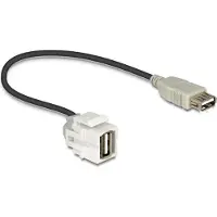 DeLOCK USB A keystone -