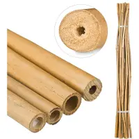 Relaxdays bamboe stokken 150 cm - set van 25 - plantensteun