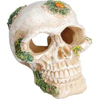 Flamingo Aquarium decoratie Skull