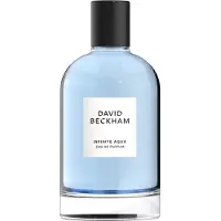 David Beckham Infinite Aqua Eau de Parfum Spray 100 ml