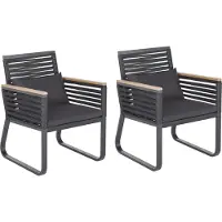Beliani CANETTO - Tuinstoel set van 2 - Zwart - Aluminium