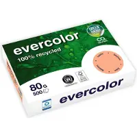 Clairefontaine Evercolor gekleurd gerecycleerd papier, A4, 80 g, 500 vel, zalm - 2 stuks