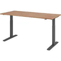 Hjh OFFICE PRO XMKA 19 G - 180 x 80 Walnoot Tafelhoogte I Elektrisch in hoogte verstelbaar