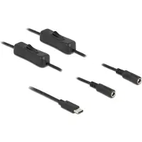 DeLOCK USB-C - 2x DC plug splitter | 5,5 x 2,1mm | max. 5V/3A (15W) | schakelaars | zwart | 1 meter