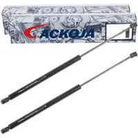 ACKOJA A26-0203 Gasveer achterklep