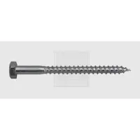 Swg 4009155622484 Houtschroef 10 mm 40 mm Buitenzeskant DIN 571 Staal Verzinkt 100 stuk(s)