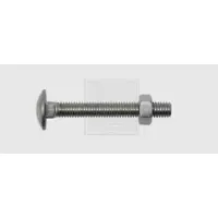 Swg 22686067 Platbolkopschroef 8 mm 60 mm Buitenzeskant DIN 603 RVS A2 25 stuk(s)