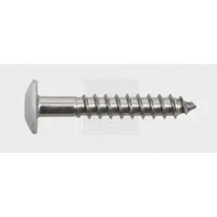 Swg 211535620 Gevelschroef 5.5 mm 35 mm T-profiel RVS A4 100 stuk(s)