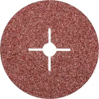 PFERD TOOLS FS 180-22 A 16 64101175 Schuurpapier voor schuurschijf Korrelgrootte (num) 16 (Ø) 180 mm 25 stuk(s)