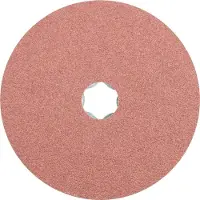 PFERD TOOLS 64190105 Schuurschijf Diameter 125 mm