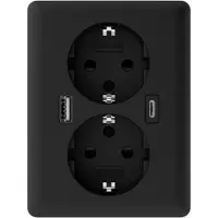 USB 2U-449719 Inbouwdoos Met -C, Met -laaduitgang Zwart (mat)