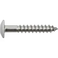 Swg 211535619 Gevelschroef 5.5 mm 35 mm Binnen-T RVS V4A A4 200 stuk(s)