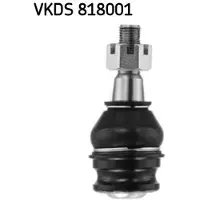 Skf VKDS 818001 Fuseekogel