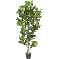 Noach Outdoor Ficus lyrata h190cm groen