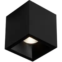 Boss & Wessing Spot BWS Daniel Aluminium 745Lm 9,2W Zwart Met Zwarte Anti-Glare Ring