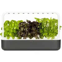 Click & Grow Smart Garden 9 - Dark Grey