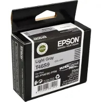 Epson Inktcartridge T46S9 Licht-grijs