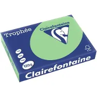 Clairefontaine Trophée Pastel A4 natuurgroen 120 g 250 vel