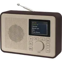 Denver DAB-60 Bruin