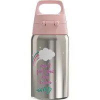 SIGG Kinder Drinkfles Skate 0,5l - Grijs - BPA-vrij - Herbruikbaar.