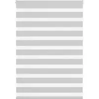 vidaXL Zebra rolgordijn 100x100 cm stofbreedte 95,9 cm lichtgrijs