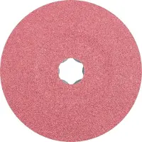 PFERD TOOLS 64192106 Schuurschijf Diameter 125 mm