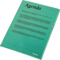 Esselte Standaard Zichtmap A4 - 0,11mm PP Folie - 100 Stuks - Groen