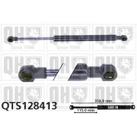 Quinton Hazell QTS128413 Gasveer achterklep