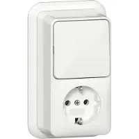 Technische Unie Gira Combinatie Wipschakelaar/Wandcontactdoos Met Randaarde - 16 A - 250 V