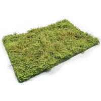 Mig Modelbouwdecoratie - MIG 8362 Wilderness Fields with Bushes Spring Kunstgroen