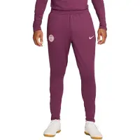 Nike Paris Saint-Germain Strike Trainingsbroek 2024-2025 Paars Groen Wit Goud