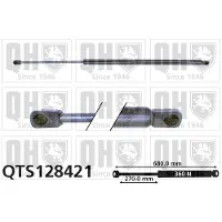 Quinton Hazell QTS128421 Gasveer achterklep