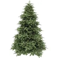 Triumph tree Abies Nordmann de Luxe Green 230