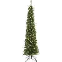 Everlands Pencil pine 240 cm LED