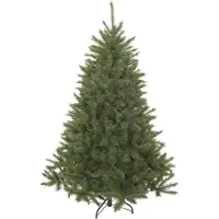 Triumph tree Forest Frosted Bristlecone Fir Green 230