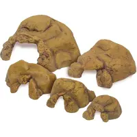 Exo Terra Schildpaddengrot