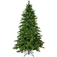 Everlands Galloway spruce 300 cm