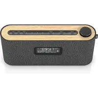 LOEWE Radio 62620D10