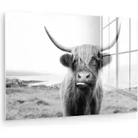 MuchoWow Glasschilderij - Foto op glas - Acrylglas - Dieren - Schotse hooglander - Koe - Gras - Natuur - Wanddecoratie - 30x20 cm - Schilderij glas - Glasschilderij Schotse hooglander - Muurdecoratie