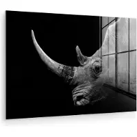 MuchoWow - Glasschilderij - Foto op glas - Acrylglas - Wilde dieren - Neushoorn - Natuur - Gras - 150x100 cm - Glasschilderij dieren - Schilderij glas - Wanddecoratie glas - Schilderijen woonkamer