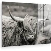 MuchoWow - Glasschilderij - Foto op glas - Dieren - Schotse hooglander - Koe - Zwart - Wit - Acrylglas - Muurdecoratie glas - 160x120 cm - Glasschilderij Schotse hooglander - Glasschilderij zwart wit