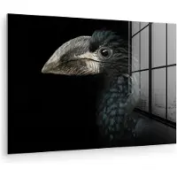 MuchoWow - Glasschilderij - Foto op glas - Acrylglas - Neushoornvogel - Dier - Snavel - Zwart wit - Vogel - 120x80 cm - Schilderij glas - Glasschilderij vogels - Glasschilderij zwart wit