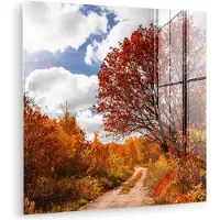 MuchoWow Glasschilderij 90x90 cm - Schilderij acrylglas - Boom - Pad - Herfst - Foto op glas - Muurdecoratie woonkamer - Wanddecoratie slaapkamer - Schilderijen
